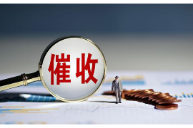 临漳如何避免债务纠纷？专业追讨公司教您应对之策